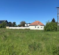 IMG_2503.jpeg