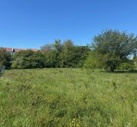 IMG_2504.jpeg