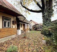 A Kotešová-i családi ház udvara őszi levelekkel borítva, nagy fával.