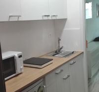 Konyhasarok a garzonlakásban szekrényekkel, mikrohullámú sütővel és fa mintázatú padlóval.