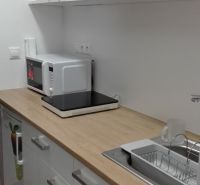 Konyhapult garzonlakásban mikrohullámú sütővel, főzőlappal és fa dekorációval.