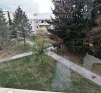 Kilátás a zöldre és a panelházra egy egyszobás lakásból a Záborského utcában, Martinban.