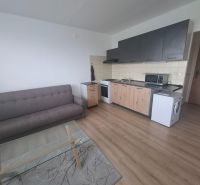 A 1 szobás lakás nappalija fa hatású padlóval, kanapéval és konyhabútorral.
