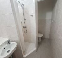 Fürdőszoba mosdóval, zuhanyzóval és WC-vel világos csempeszínekben, 1 szobás lakás.