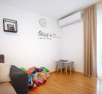 Nyaraló apartman belső tér játékszerekkel, kanapéval és fa dekorációjú padlóval.