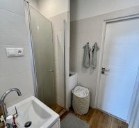 Fürdőszoba egy kétszobás lakásban, fa dekor padlóval, zuhanyzóval és mosógéppel.