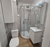 Fürdőszoba a garzonlakásban modern zuhanyzóval, mosdóval, WC-vel és fa mintázatú padlóval.