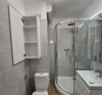 Fürdőszoba WC-vel, zuhanyzóval és szekrénnyel a garzonlakásban, fa mintázatú padlóval.