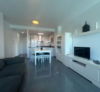 Nyaraló apartman kanapéval, étkezőasztallal és TV-vel, fa dekorációjú padlóval.