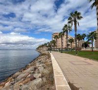 Tengerparti sétány pálmafákkal a La Manga del Mar Menor üdülőapartman közelében, Spanyolország.