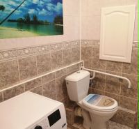 Fürdőszoba WC-vel és mosógéppel egy háromszobás lakásban, dekoratív kép a falon.
