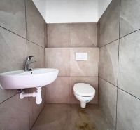 WC mosdókagylóval, semleges csempék, üzlethelyiségek.