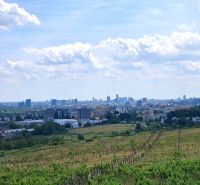 Szőlőskertek a Pozsonyi - Récsei Madárútban, panorámás kilátással a városra.
