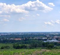 Kilátás a szőlőültetvényekről a Vtáčikova úton Pozsony-Račában a városra.