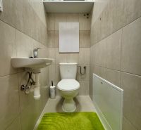 WC egy 3 szobás lakásban polccal és zöld szőnyeggel.