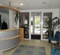Recepció fa dekorációval, ülőhelyekkel és növényekkel az irodákban.