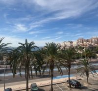 A pálmafák szegélyezik az utat a La Manga del Mar Menor-i üdülő apartmannál.
