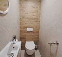Fürdőszoba egy kétszobás lakásban, fa dekoros padlóval és fali WC-vel.