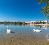 Tó hattyúkkal, homokos strand, környező épületek a Budatínska utcánál Pozsonyban.
