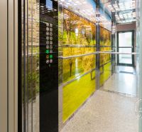 Tükörrel és természetes motívummal ellátott lift a bejárat falain.