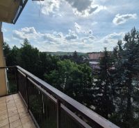 Kilátás egy négy szobás lakás erkélyéről Myjaván a zöld környezetre és a lakótelepre.