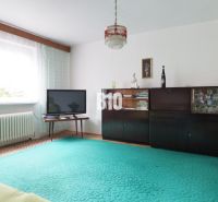 Nappali egy családi házban televízióval, sötét bútorokkal és zöld szőnyeggel.