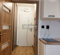 Studiový byt s kuchynskou linkou a podlahou s dreveným dekorom.