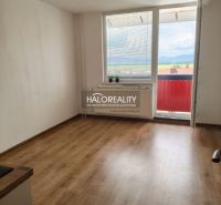Garzonlakás fa dekorációjú padlóval, nagy ablakkal és erkéllyel.