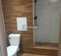 Garzonlakás fürdőszobája WC-vel és zuhanyzóval, fa dekor padlóval.