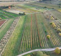 dji_fly_20251019_164546_194_1760885159500_photo.jpg