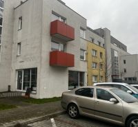 IMG_4684.jpg