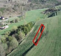 Fekete Balog mezőgazdasági és erdőterületein található rétek és erdők, amelyeket a táj vesz körül.