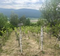 Szőlőültetvények a Jablonov nad Turňou melletti házikó közelében, kilátással a hegyekre.