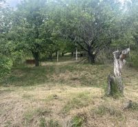Kert gyepes területtel és fákkal a ház körül Jablonov nad Turňou-ban.