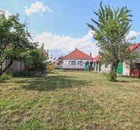 Családi ház melletti telek Borsky Mikulášban gyepes és gyümölcsfákkal.