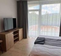 Egy rekreációs apartmanban: ágy, TV fa bútoron, fa dekorációjú padló, nagy ablak.