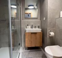 A nyaraló apartman fürdőszobája mosdóval, zuhanyzóval és stílusos szürke csempékkel.