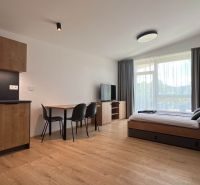 Nyaraló apartman fa dekorációval, konyhával, étkezőasztallal és ággyal.