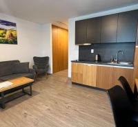 Nappali rész konyhasarokkal, kanapéval, fotellel és fa dekorációjú padlóval a Nyaraló apartmanban.