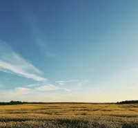 Mezőgazdasági és erdőterületek Csejteben, mező az éggel és felhőkkel a horizonton.