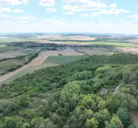 Légi felvétel Tornalja környéki mezőgazdasági és erdős területekről.