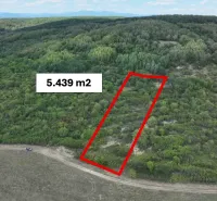 Mezőgazdasági és erdőterületek Tornalján, 5 439 m² területtel, zöldövezetben.