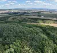 Táj Tornalján vegyes mezőgazdasági és erdőterületekkel a tiszta égbolt alatt.