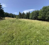 Zöld rét fákkal körülvéve a természetben, Ólubló, Különleges ingatlanok.