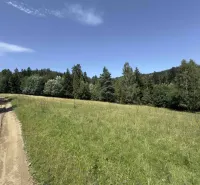 Erdészeti út és rét fákkal körülvéve a Stará Ľubovňa területén, Különleges ingatlanok.