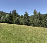 Erdő Ólublón, rét veszi körül, ideális különleges ingatlanok szerelmeseinek.