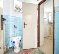 Fürdőszoba családi házban kék csempékkel és különálló WC-vel.