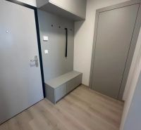 Előszoba egy kétszobás lakásban fa dekoros padlóval és tárolóhellyel.