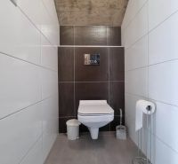 Családi ház WC-je fehér és barna csempékkel.