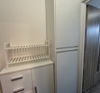 Garzonlakás fehér szekrényekkel és sötét padlójú polccal, fa dekorációval.